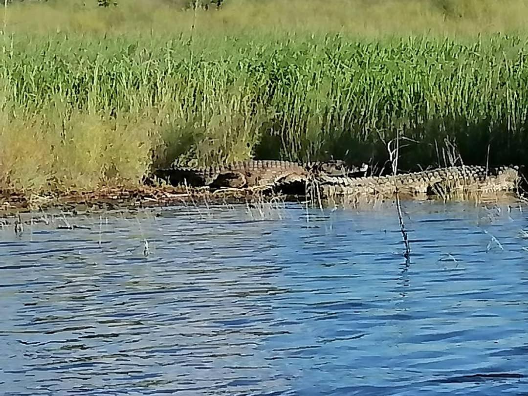 Camp Hogo Kavango Рунду Экстерьер фото