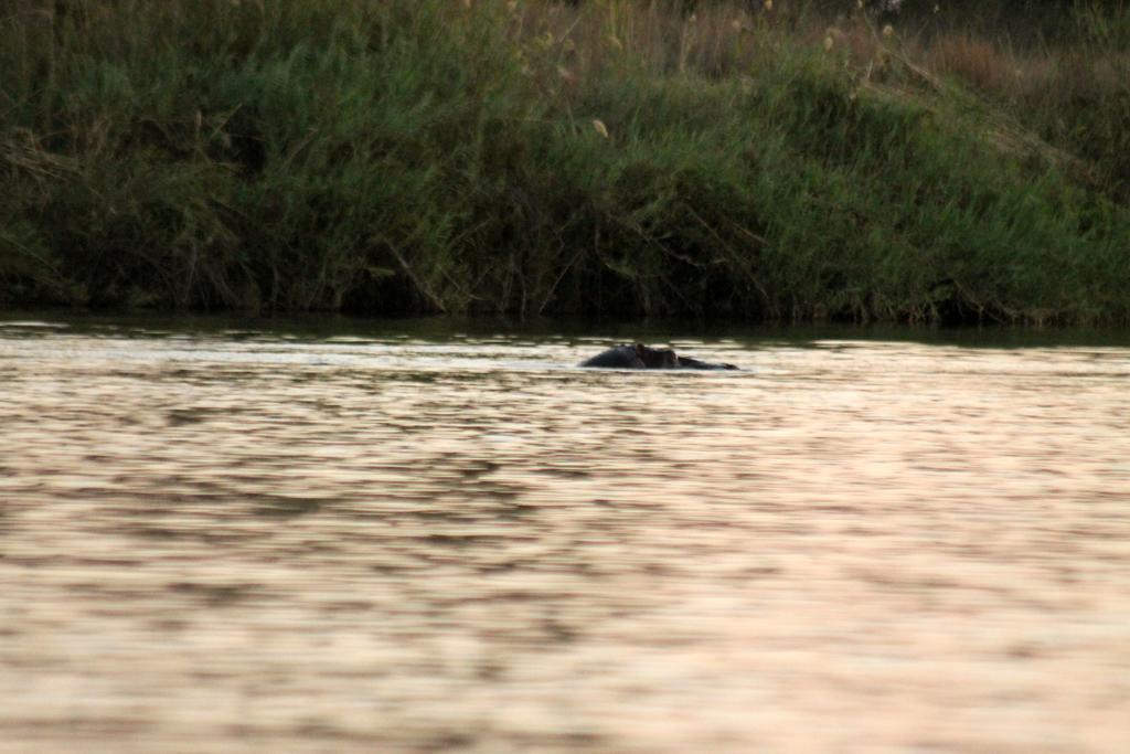 Camp Hogo Kavango Рунду Экстерьер фото